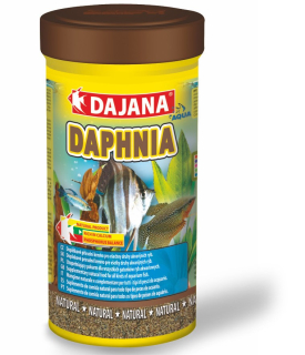 Daphnia