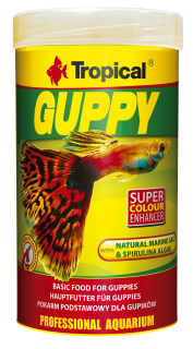 Tropical Guppy (exp. 4/25) poslední 4 ks