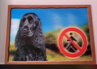 Cedule na vrata 3D Anglický kokršpaněl černý