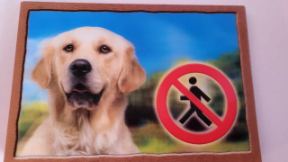 Cedule na vrata 3D Labrador