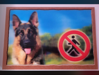 Cedule na vrata 3D Německý ovčák