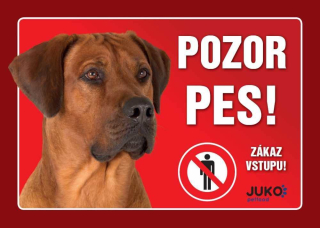 Cedule na vrata Rhodéský ridgeback