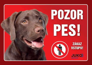 Cedule na vrata Labrador hnědý