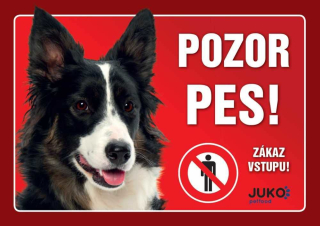 Cedule na vrata Border kolie