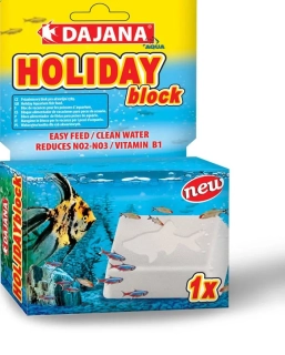 Holiday Block
