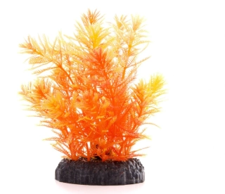 Dekorace - Ambulia oranžová 14 cm