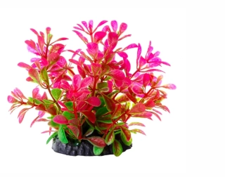 Dekorace - Plastová rostlinka Ludwigia 10 cm růžová
