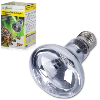 Žárovka Neodymium Daylight