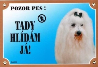 Cedule na vrata Maltézský pinč