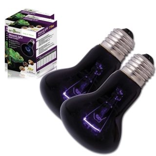 Žárovka 75W Moonlight - ReptiZoo 1ks