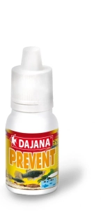 Dajana Prevent