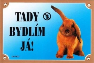 Barevná cedulka - Králík