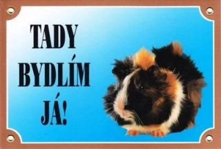 Barevná cedulka - Morče