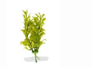 Hygrophila - akvarijní plastová rostlinka