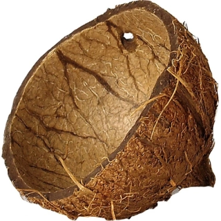 Kokosová skořápka
