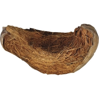 Kokosová slupka