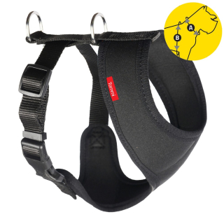 Postroj do auta M černý neopren